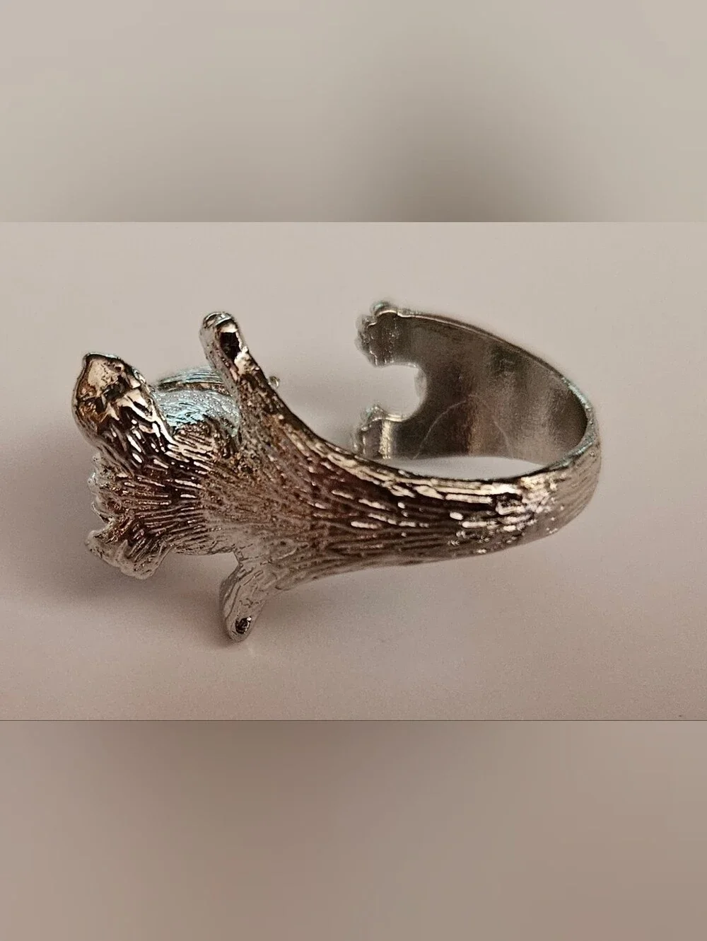 Schnauzer Dog Ring
